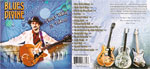 christinefay.com Blues Divine Cover